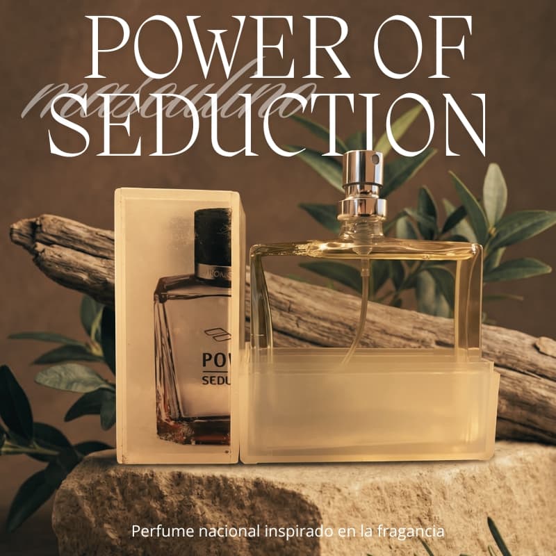 Power of Seduction Antonio Banderas